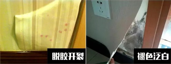 〖家裝資訊臺(tái)〗潮濕天氣，房子剪開壁紙全是蘑菇