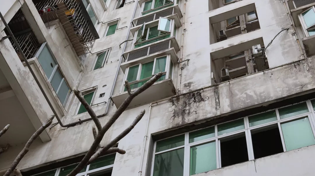 暴雨又又叒叕來報到 建筑外墻滲水如何應對
